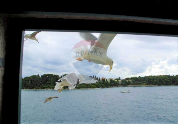 Maison À vendre - Istarska Rovinj - foto 5/17