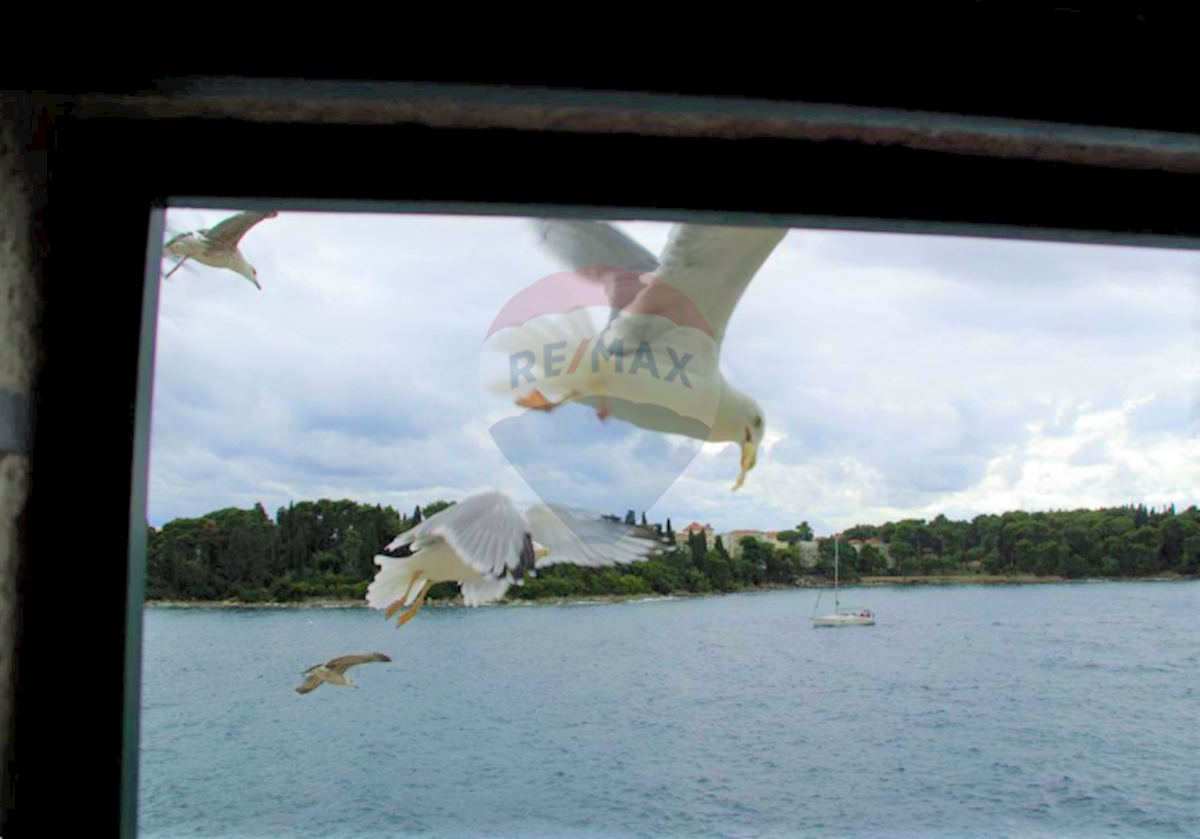 Haus Zu verkaufen - ISTARSKA ROVINJ