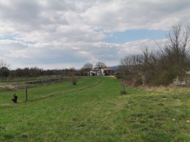 Pozemok Na predaj - Istarska Kršan - foto 2/3