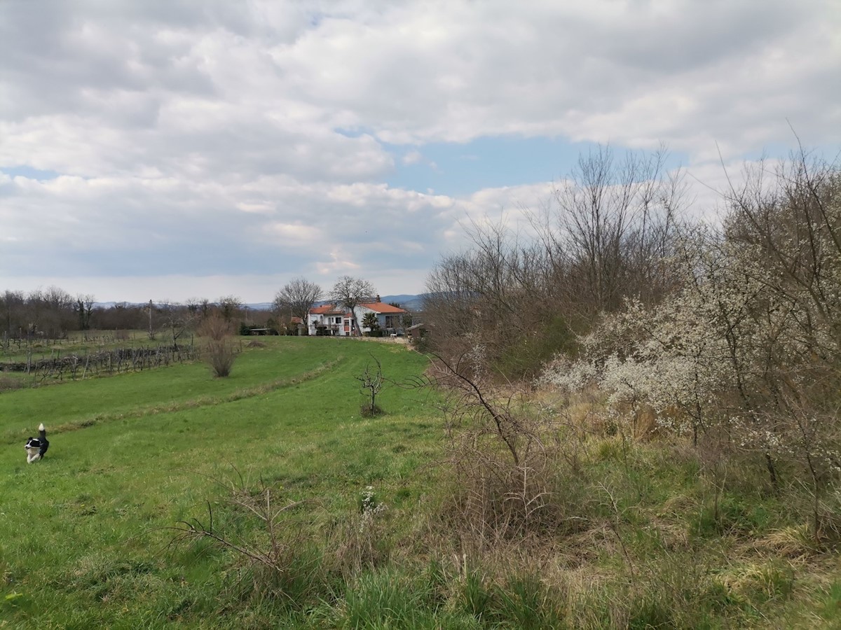 Parcela Naprodaj - ISTARSKA Kršan