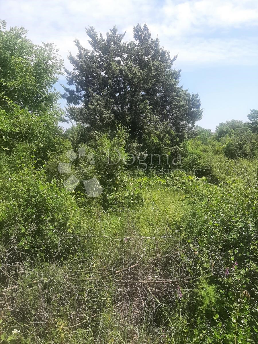 Land For sale - ZADARSKA SUKOŠAN