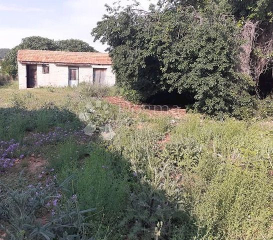Casa In vendita - Zadarska Bibinje - foto 4/7