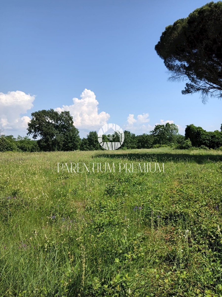 Parcela Naprodaj - ISTARSKA Poreč
