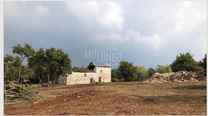 Pozemek na prodej 6133 m² – Juršići
