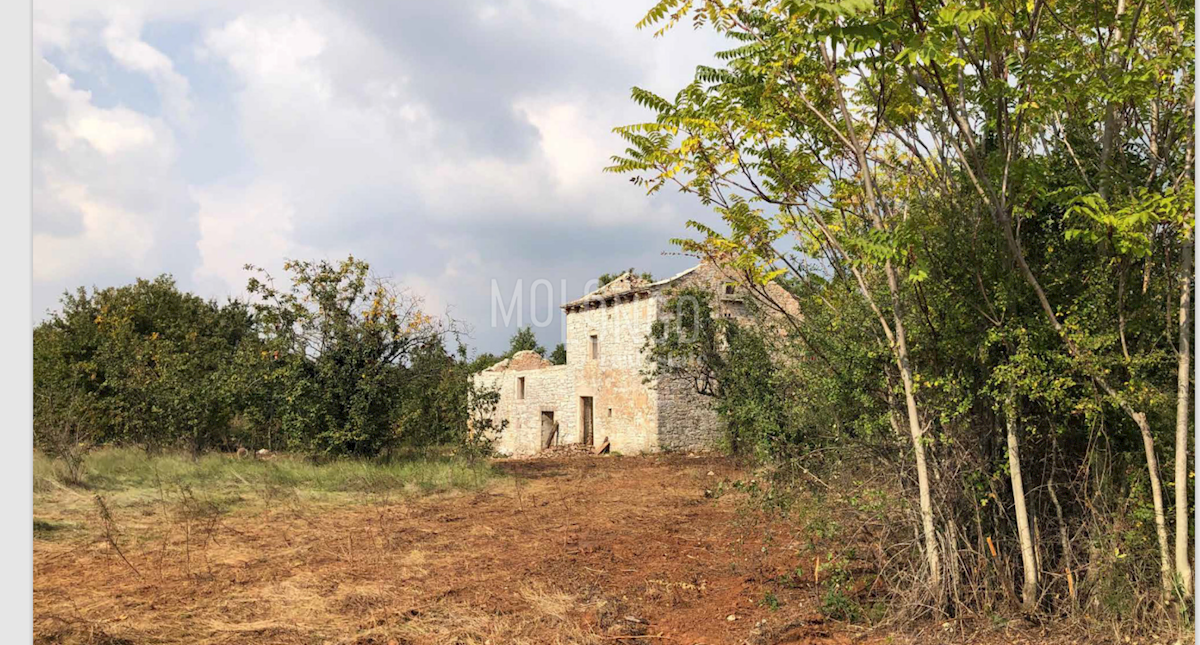 Terreno In vendita - ISTARSKA SVETVINČENAT
