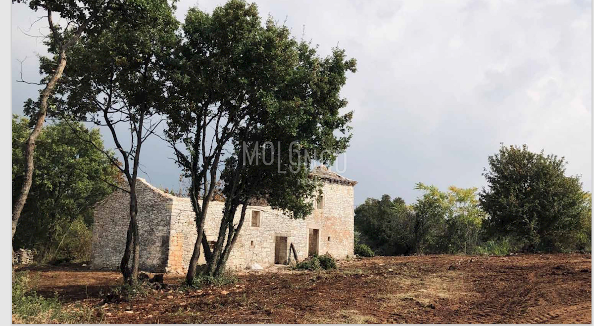 Terreno In vendita - ISTARSKA SVETVINČENAT