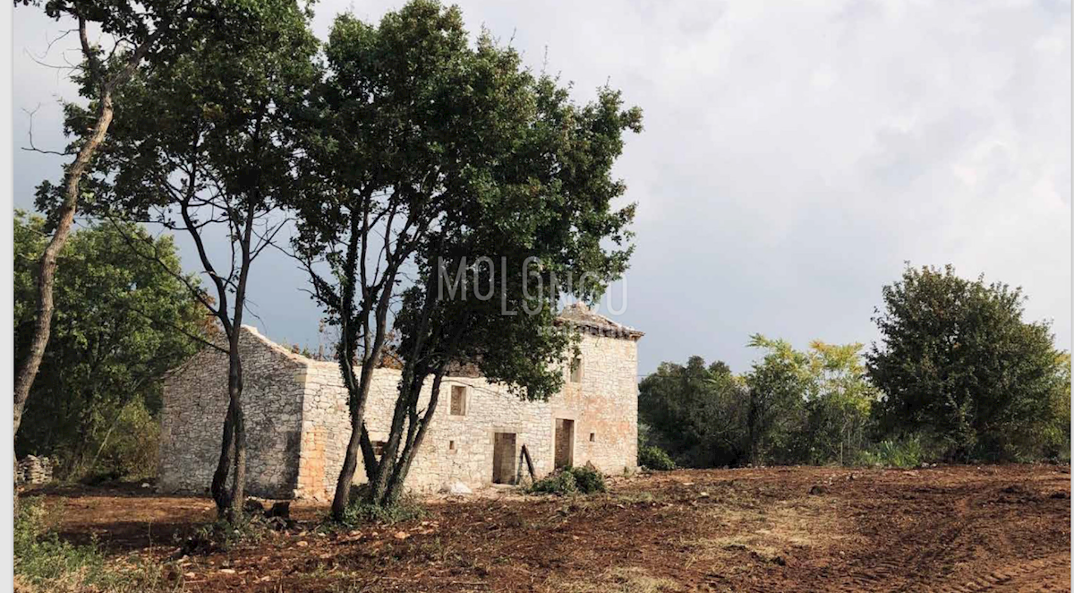 Terreno In vendita - ISTARSKA SVETVINČENAT