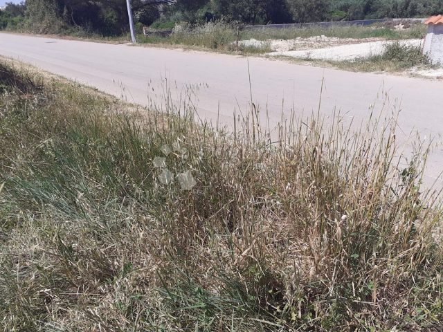 Terreno In vendita - Zadarska Bibinje - foto 2/2