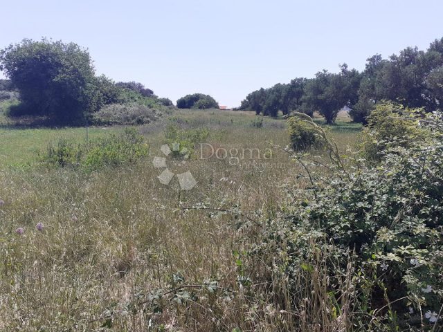 Parcela Naprodaj - Zadarska Bibinje - foto 3/3