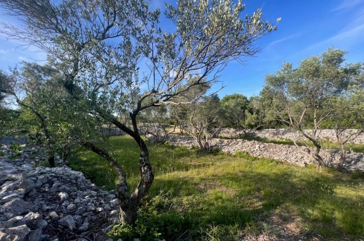 Terreno in vendita 794 m² – Vrbnik