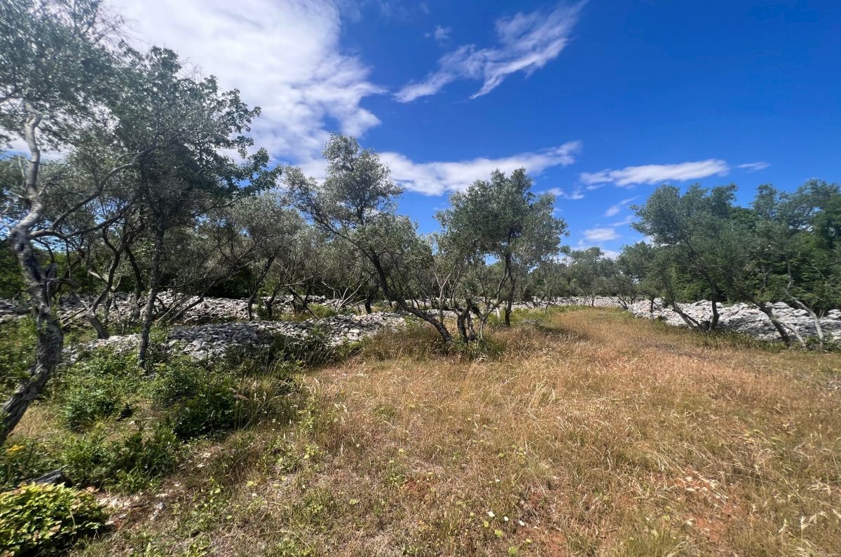 Land For sale - PRIMORSKO-GORANSKA KRK