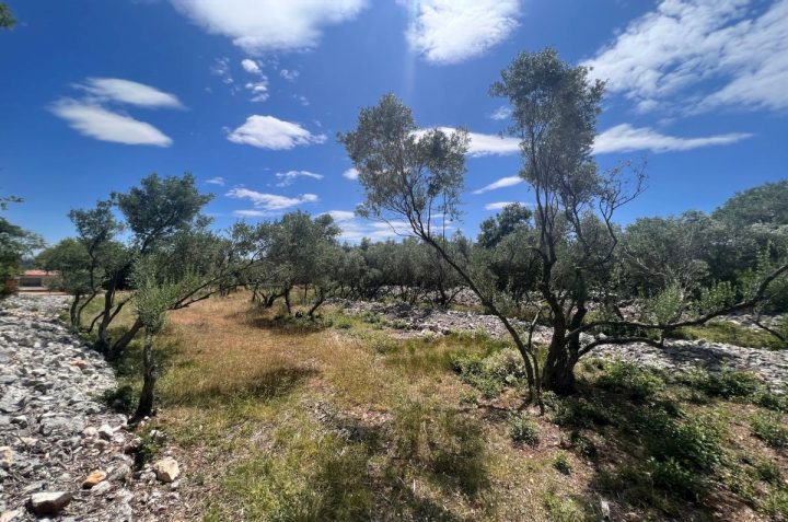 Terreno In vendita - Primorsko-goranska Krk - foto 4/5