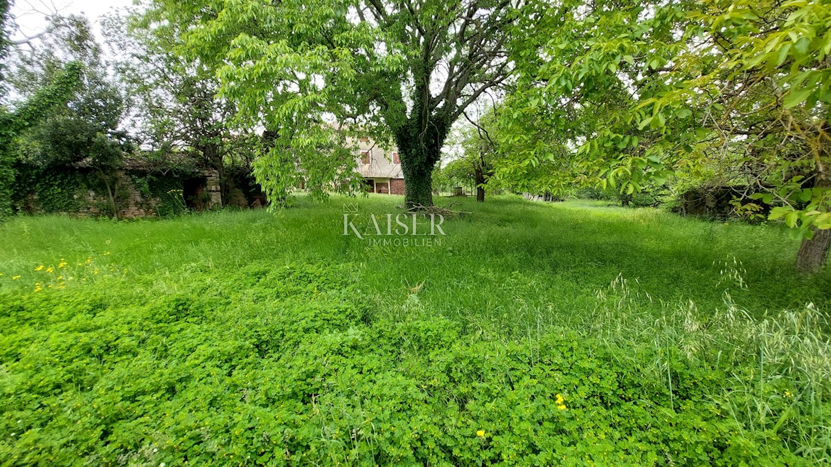 Land For sale - ISTARSKA VIŽINADA