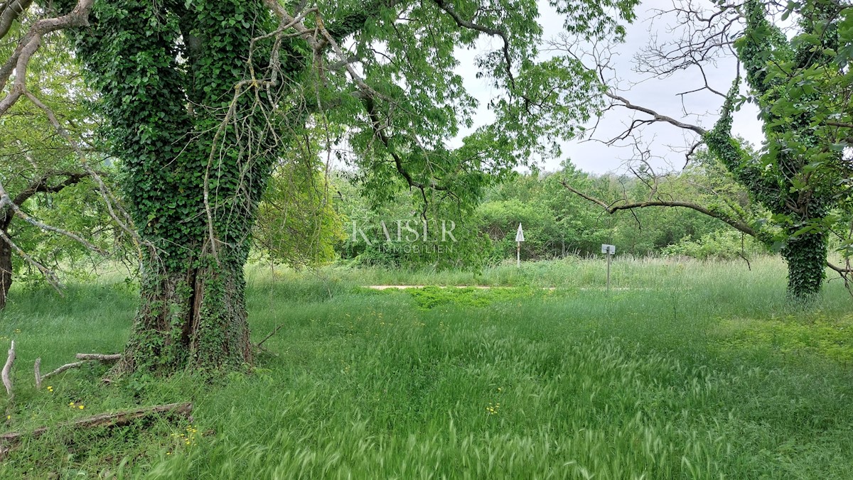 Land For sale - ISTARSKA VIŽINADA