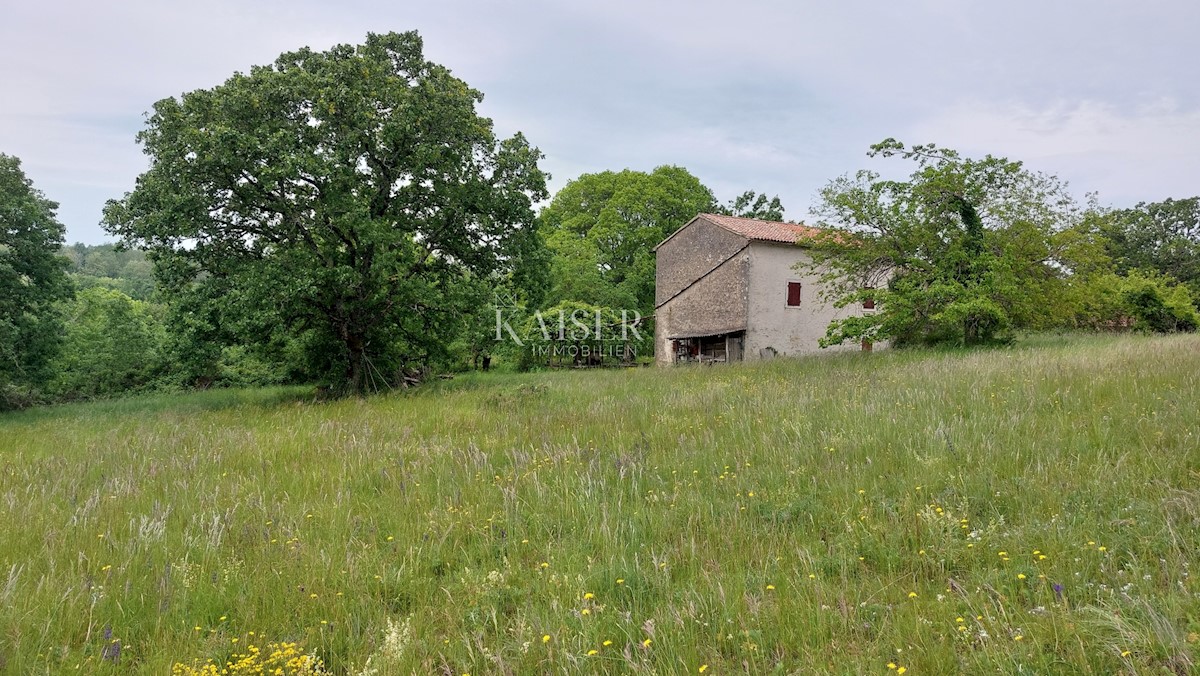 Land For sale - ISTARSKA VIŽINADA