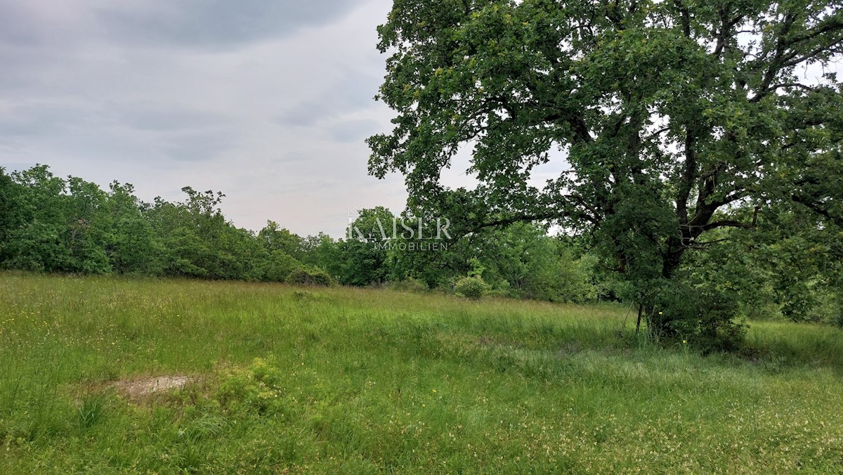 Land For sale - ISTARSKA VIŽINADA