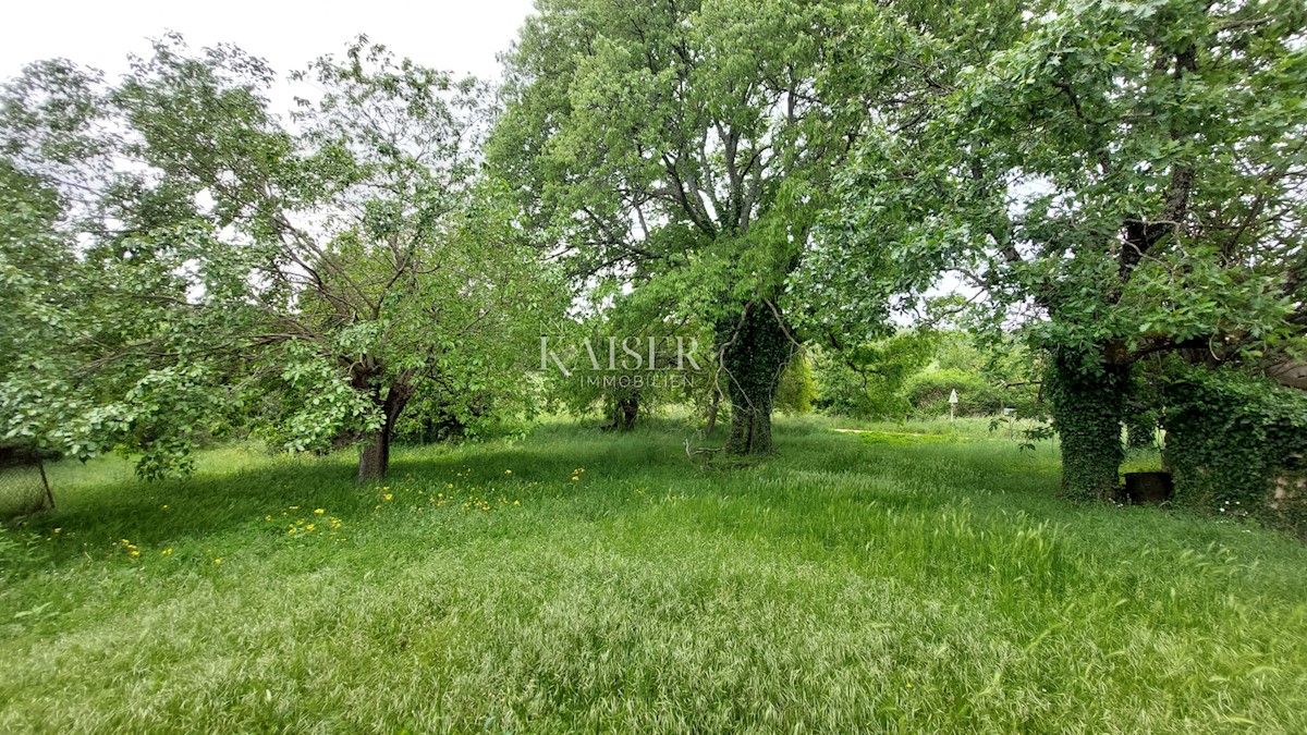 Land For sale - ISTARSKA VIŽINADA