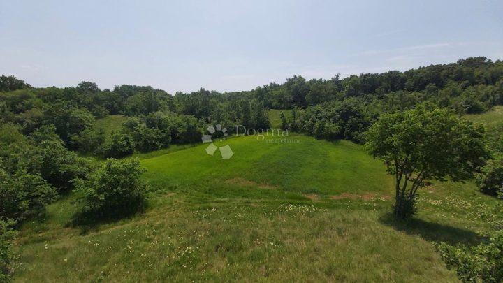 Land for sale 15300 m² – Snašići