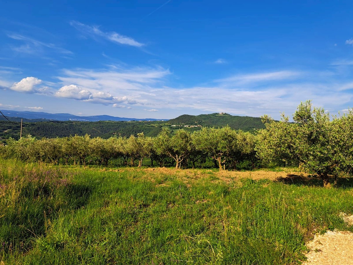 Zemljište Na prodaju - ISTARSKA PAZIN