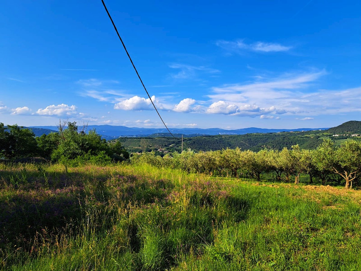 Działka Na sprzedaż - ISTARSKA PAZIN