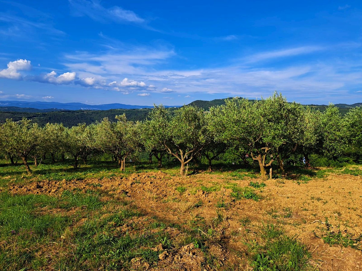 Pozemek Na prodej - ISTARSKA PAZIN