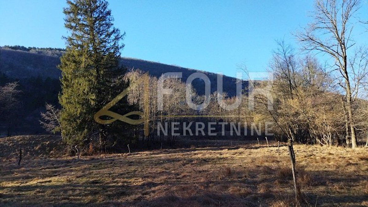 Terrain À vendre - Primorsko-goranska Klana - foto 5/7