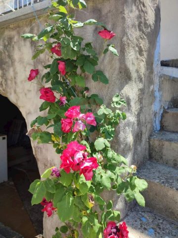 Haus Zu verkaufen - Primorsko-goranska Krk - foto 2/16