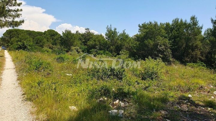 Parcela Naprodaj - Zadarska Vir - foto 5/5