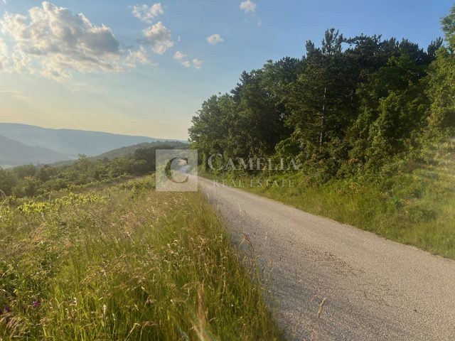 Działka na sprzedaż 3050 m² – Zamask