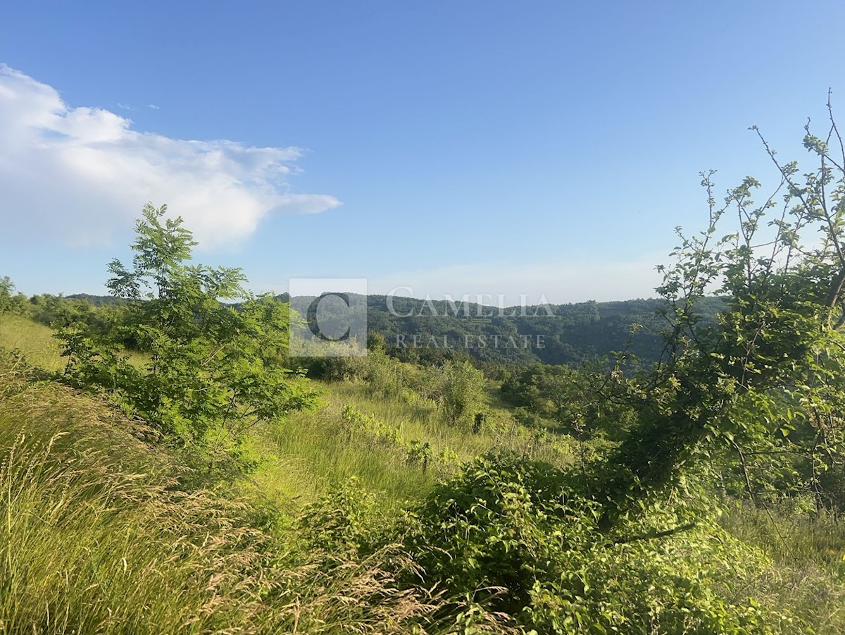 Parcela Na predaj - ISTARSKA PAZIN