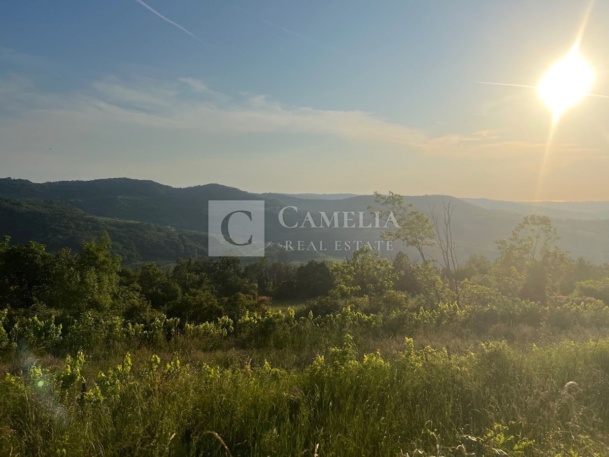 Parcela Na predaj - ISTARSKA PAZIN