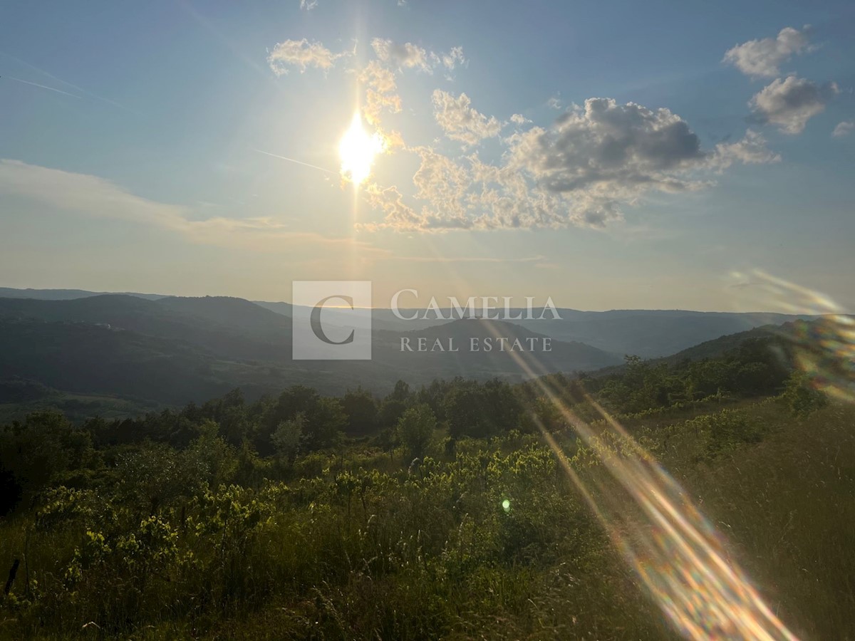 Parcela Na predaj - ISTARSKA PAZIN