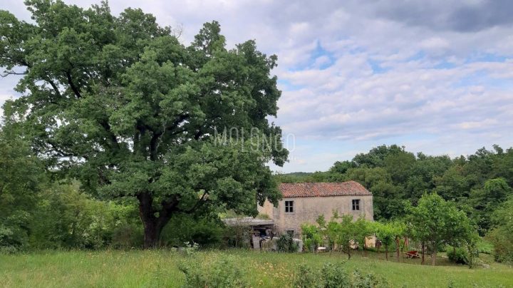 Dům na prodej 123 m² – Kranjci