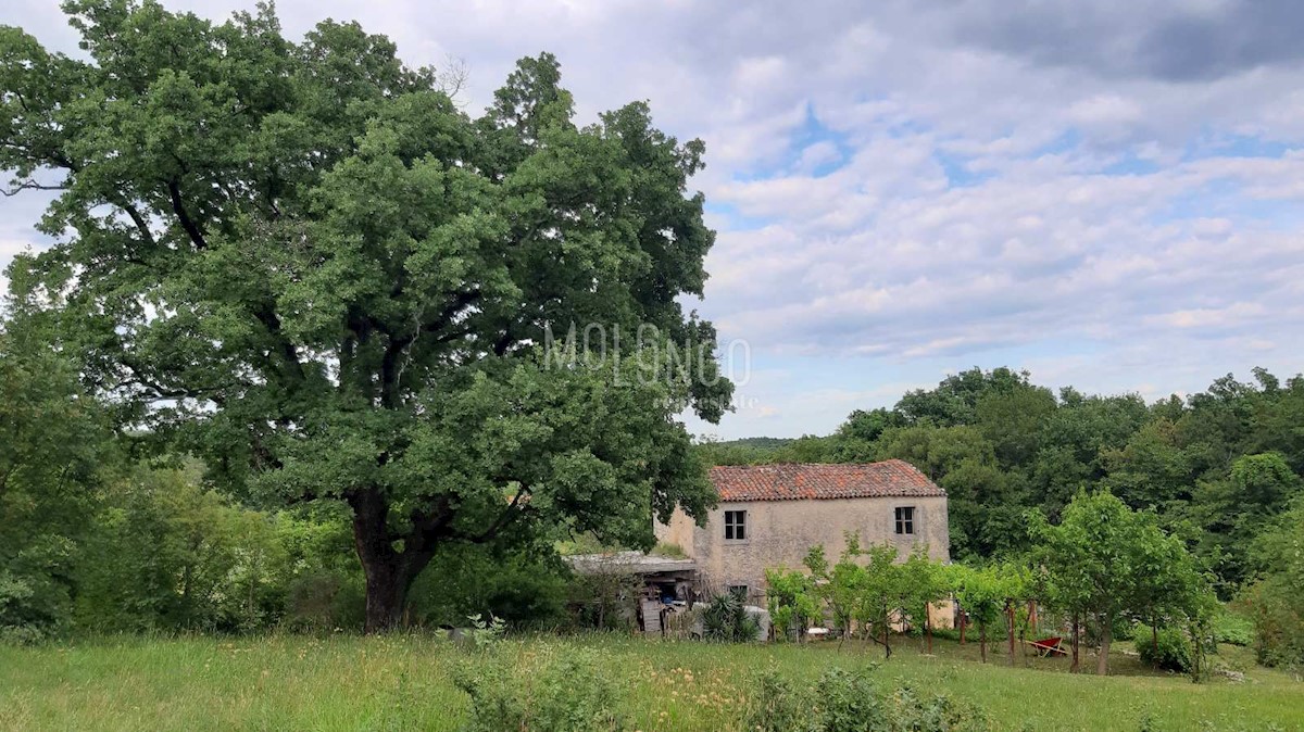 Haus Zu verkaufen - ISTARSKA LABIN