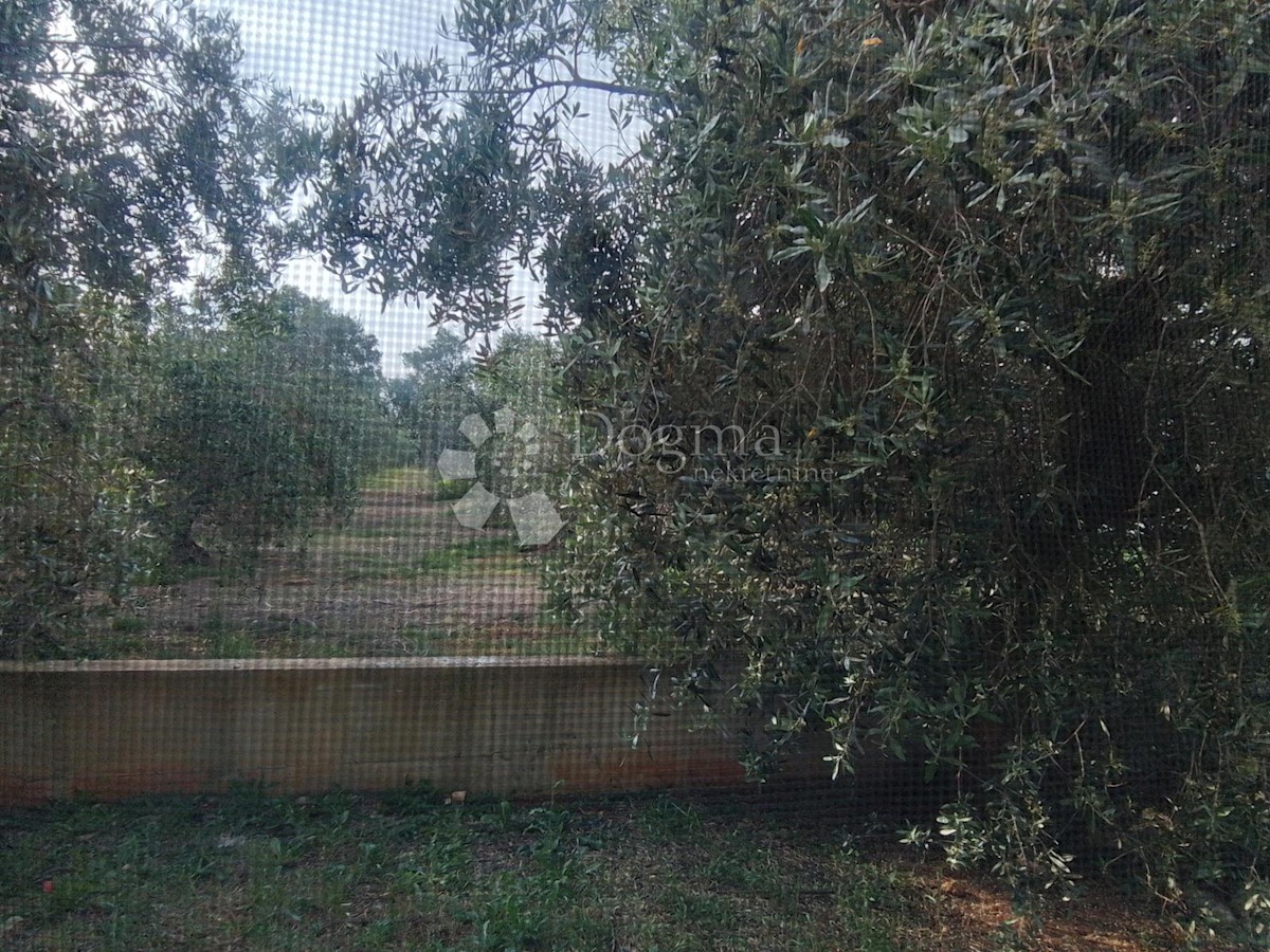 Appartement À vendre - ISTARSKA FAŽANA