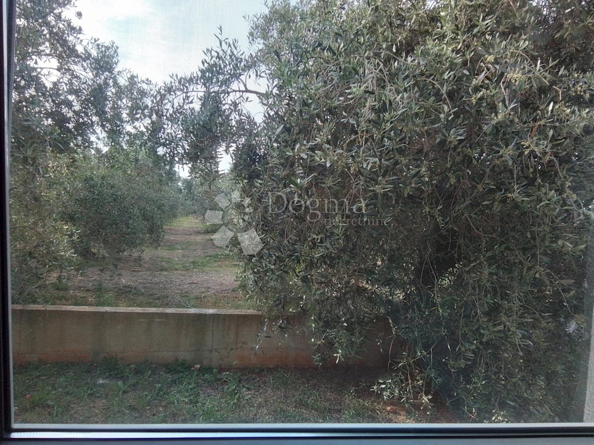 Appartement À vendre - ISTARSKA FAŽANA