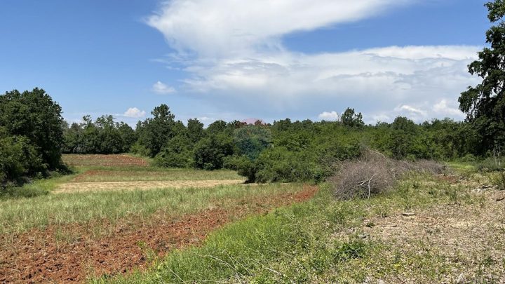 Parcela Naprodaj - Istarska Kaštelir - foto 4/5