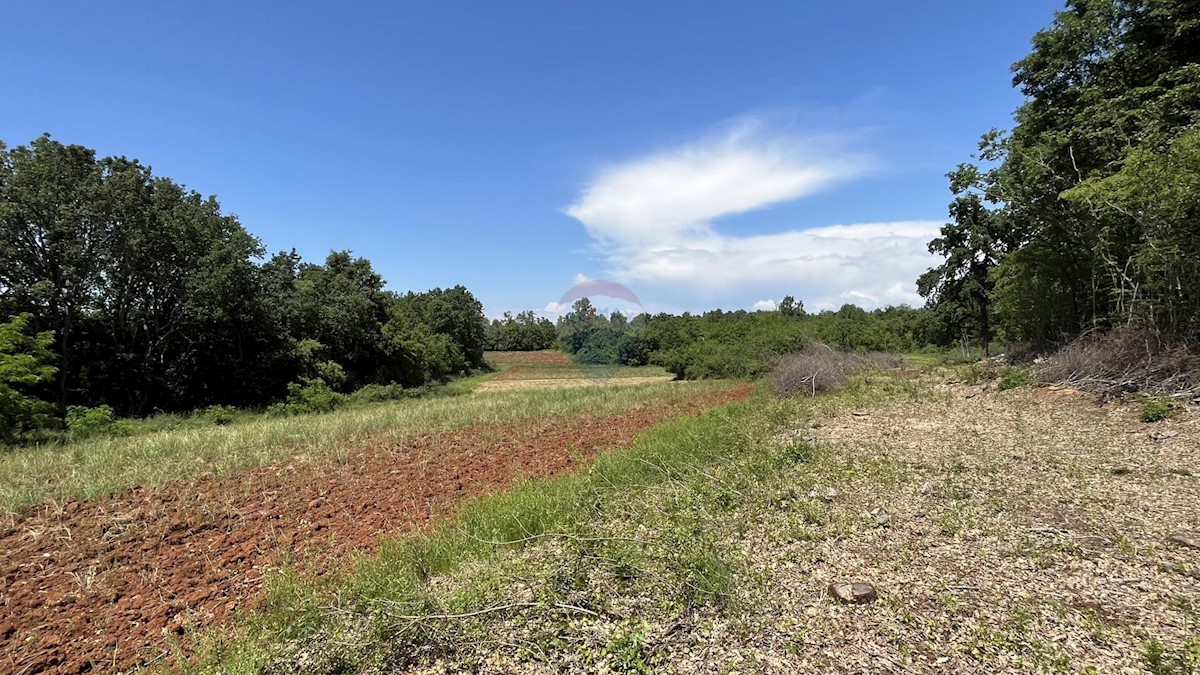 Land For sale - ISTARSKA KAŠTELIR