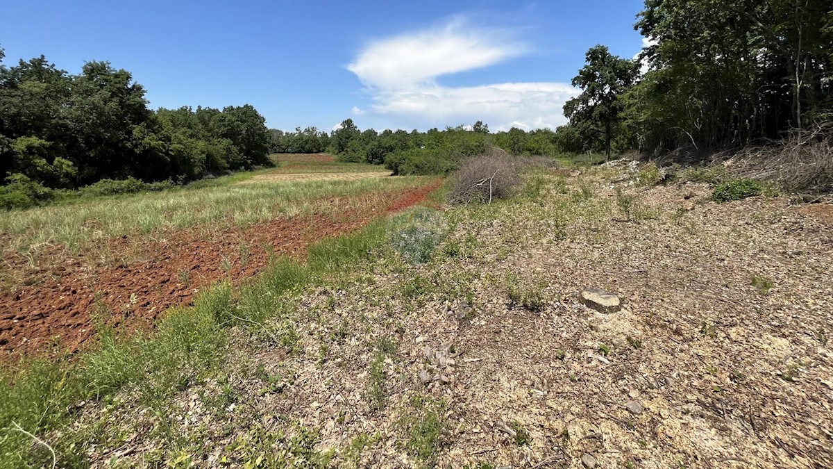 Land For sale - ISTARSKA KAŠTELIR