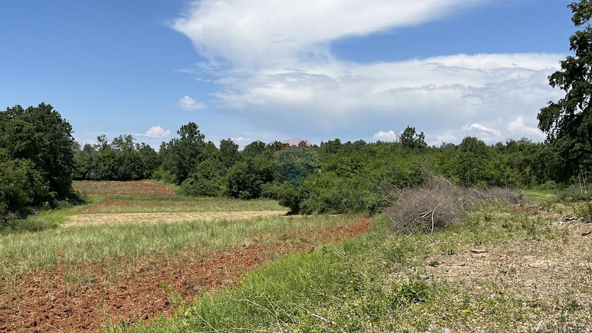 Land For sale - ISTARSKA KAŠTELIR