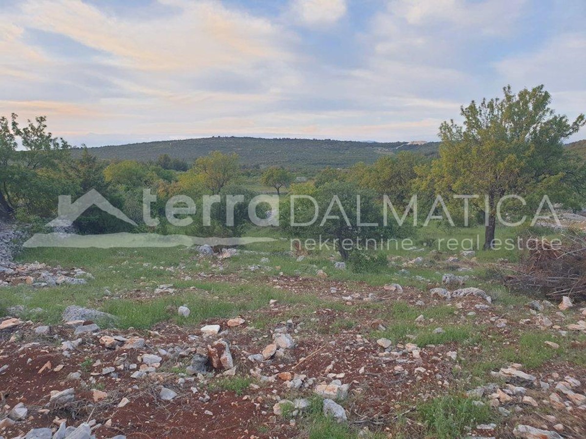 Land For sale - SPLITSKO-DALMATINSKA BRAČ