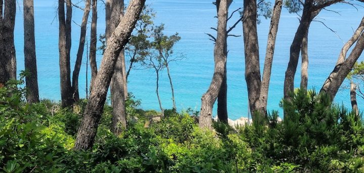 Land For sale - Splitsko-dalmatinska Hvar - foto 2/2