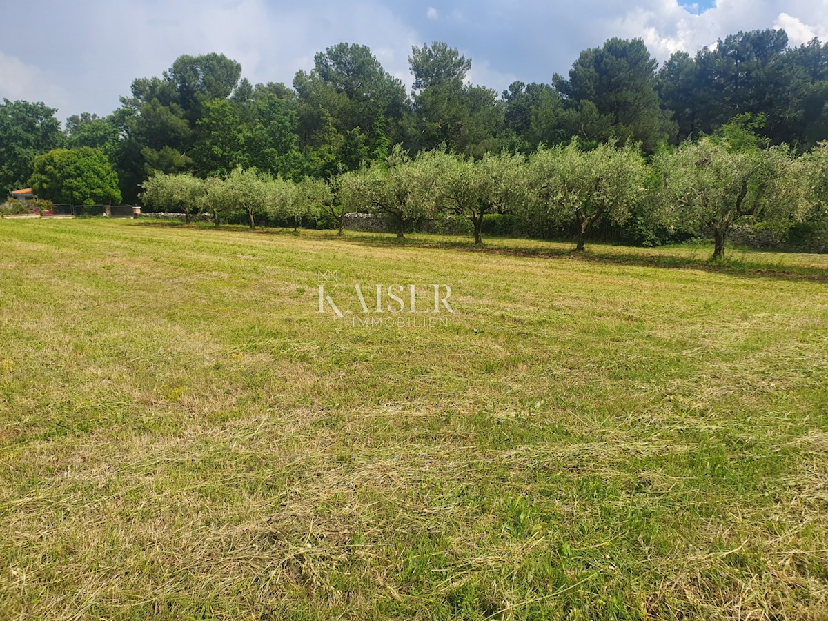 Land For sale - ISTARSKA VIŠNJAN