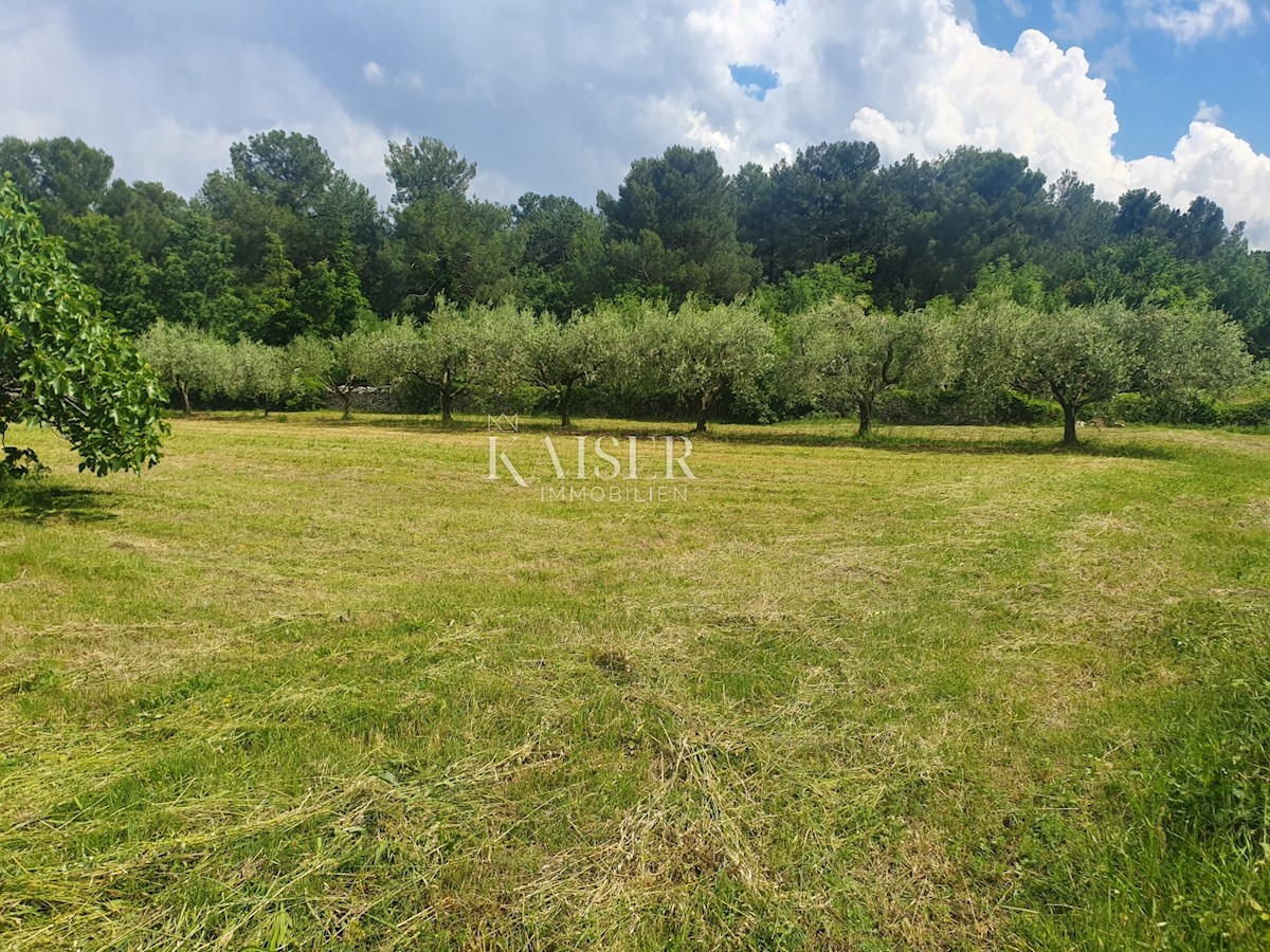 Land For sale - ISTARSKA VIŠNJAN