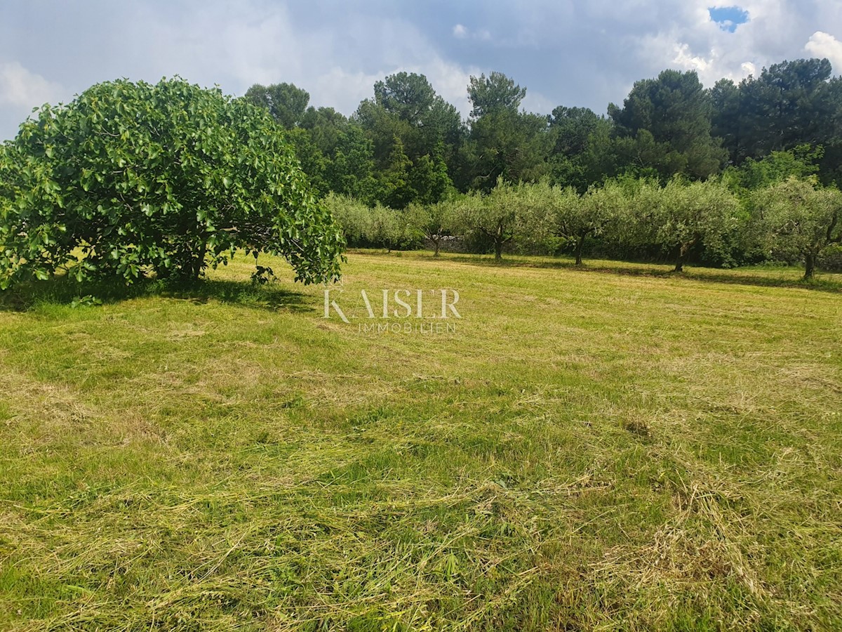 Land For sale - ISTARSKA VIŠNJAN