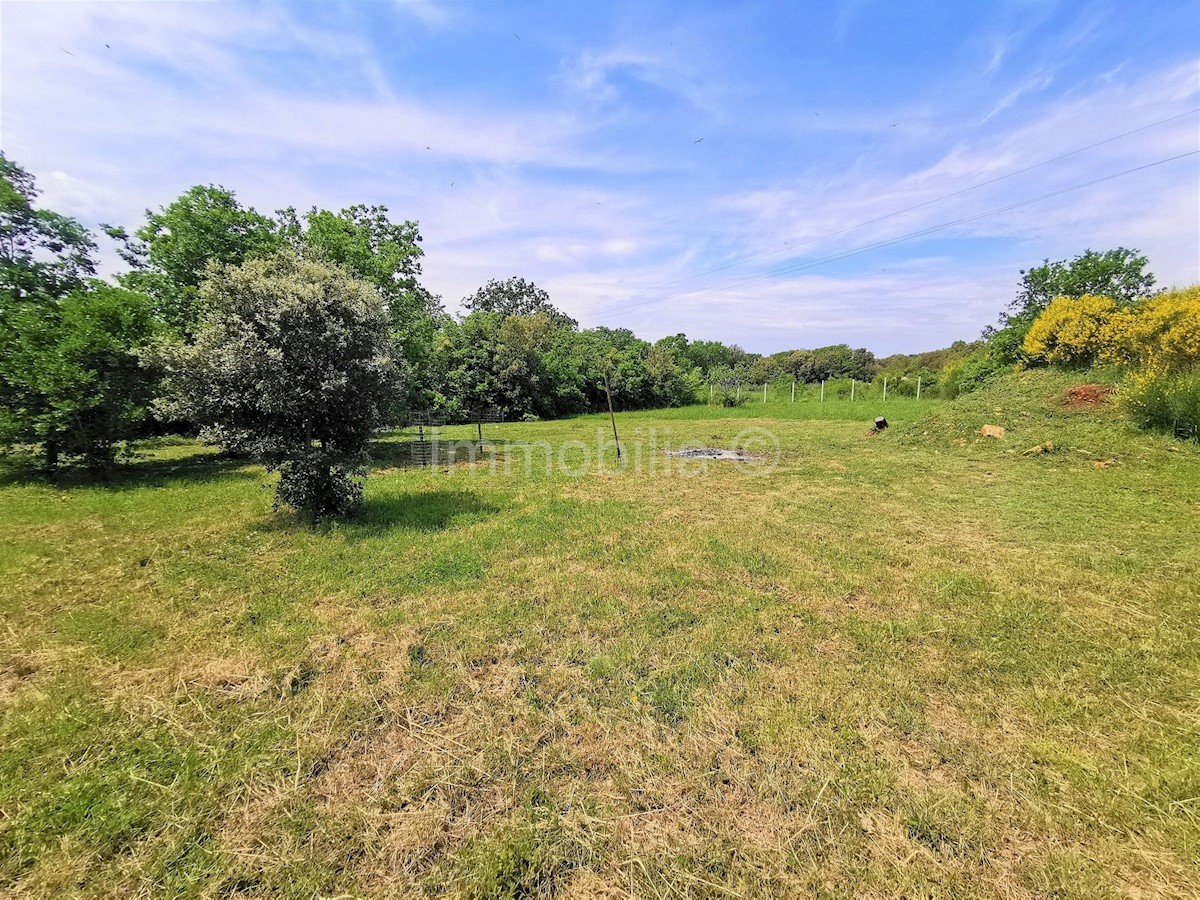 Land For sale - ISTARSKA MEDULIN