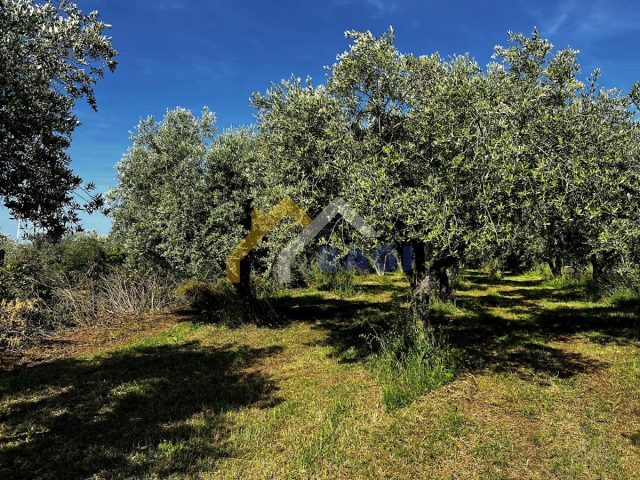 Pozemok na predaj 1751 m² – Fažana
