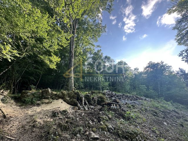 Terrain à vendre 5375 m² – Matulji