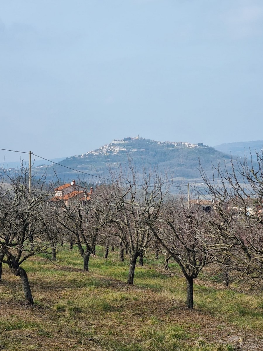 Terreno In vendita - ISTARSKA MOTOVUN