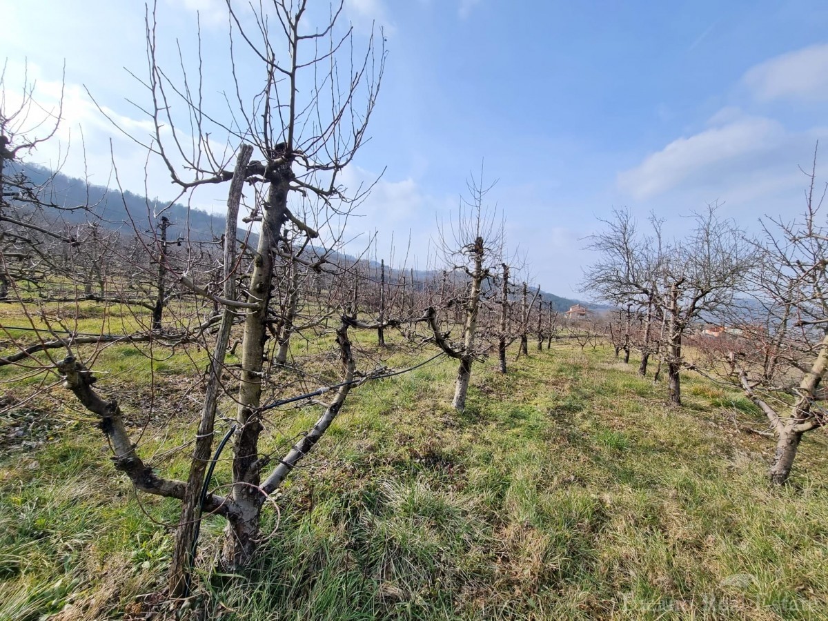 Terreno In vendita - ISTARSKA MOTOVUN